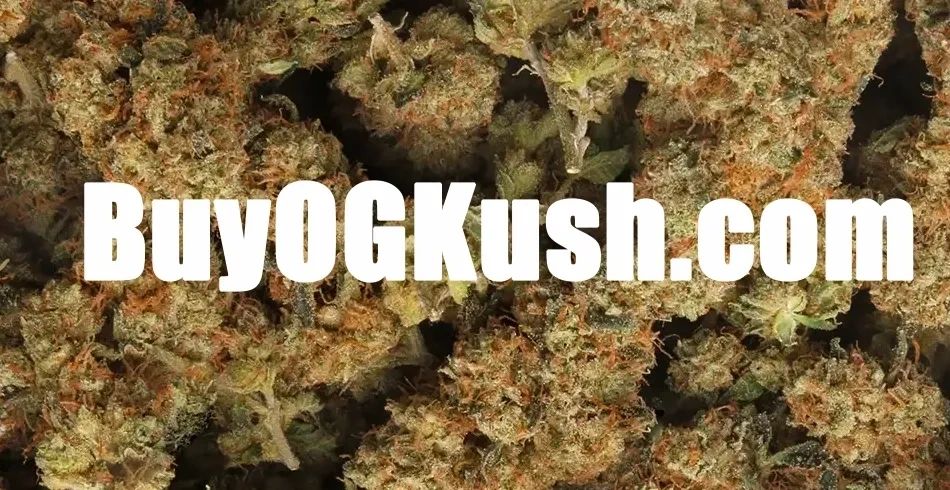 Buy OG Kush Legal Hemp Quality Cannabis