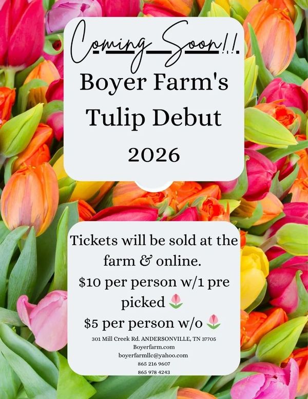 Announcement for Boyer Farm's Tulip Debut event in 2026 with ticket prices and contact info.