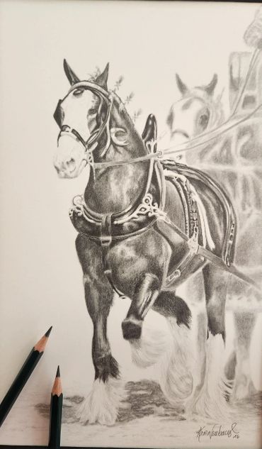 Detailed pencil drawing of a horse with harness and feather decorations.