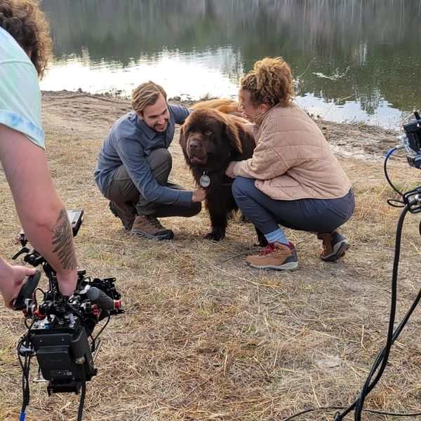 A premier dog boarding facility near Atlanta, GA.