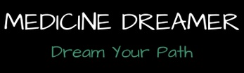 Medicine Dreamer 
Dream Your Path