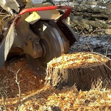 Tree Service Champaign IL
Arborist Champaign IL
Tree Removal Champaign IL