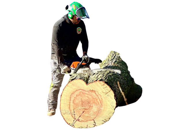 Tree Service Champaign IL
Arborist Champaign IL
Tree Removal Champaign IL