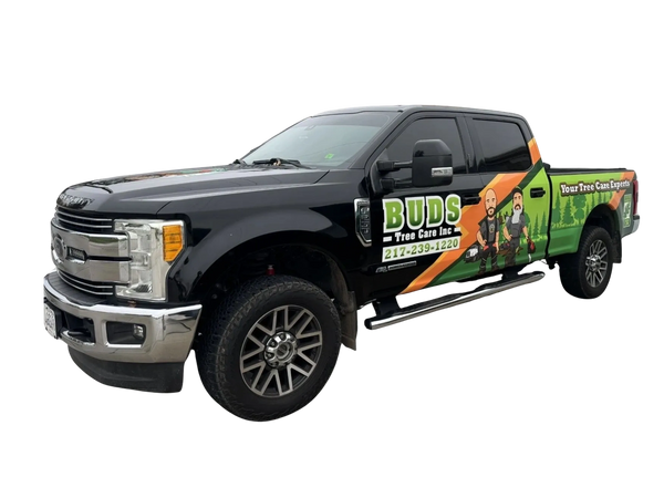 Tree Service Champaign IL
Arborist Champaign IL
Tree Removal Champaign IL