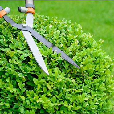 Tree Service Champaign IL
Arborist Champaign IL
Tree Removal Champaign IL