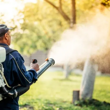 Tree Service Champaign IL
Arborist Champaign IL
Tree Removal Champaign IL