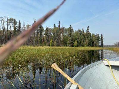 View from a boat on a calm river surrounded by trees and grass.