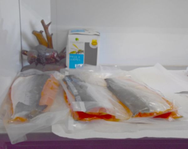 Vacuum-sealed fish fillets placed on a surface with a carton box in the background.