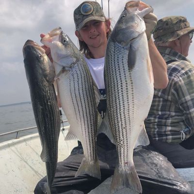 Fishing guide holding striper fish in boat on Lake Texoma