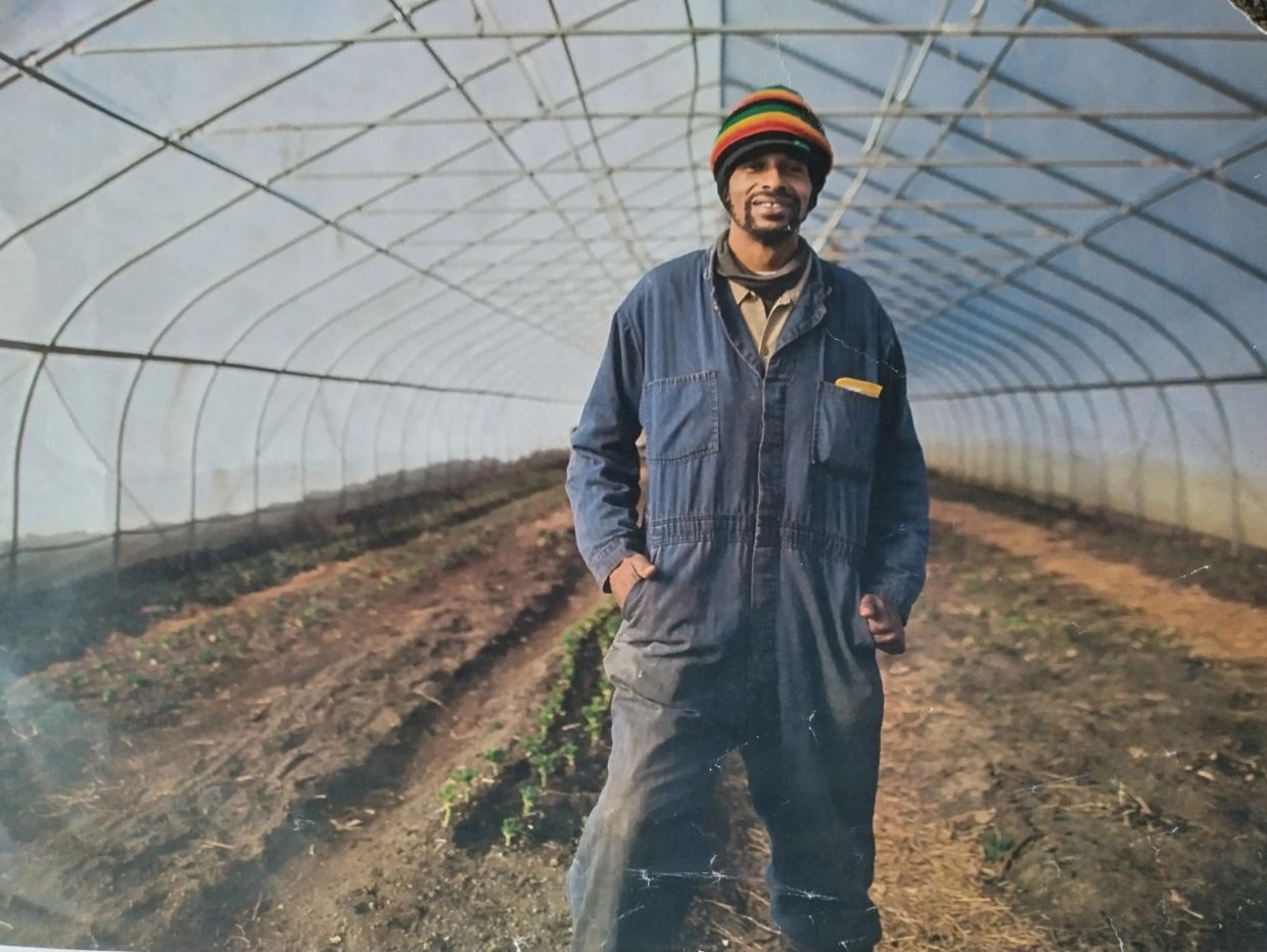 Man in a colorful hat stands inside a greenhouse with rows of plants.