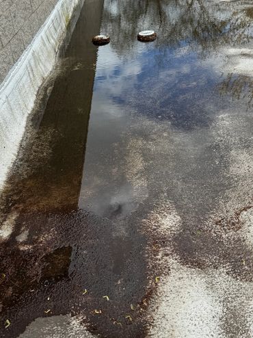 Clogged Drains Due To Lack Of Maintenance