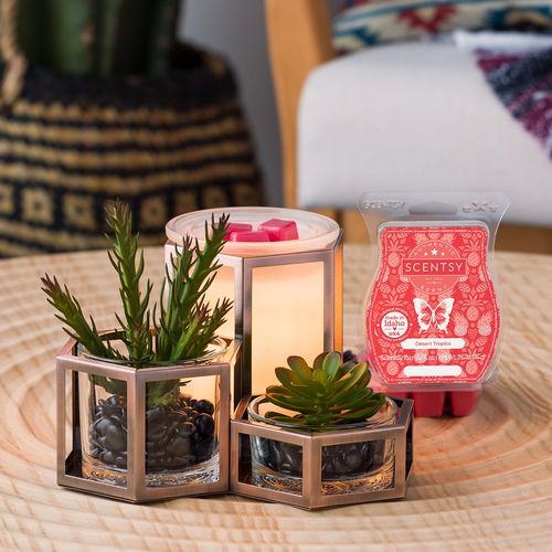 Wild Desert warmer & Desert Tropi s scent
