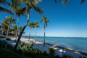 Palm trees line a white sandy beach under a clear blue sky with calm ocean waters.