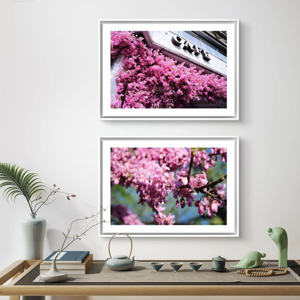 primavera
flover power
ffloverphotography
flover photography