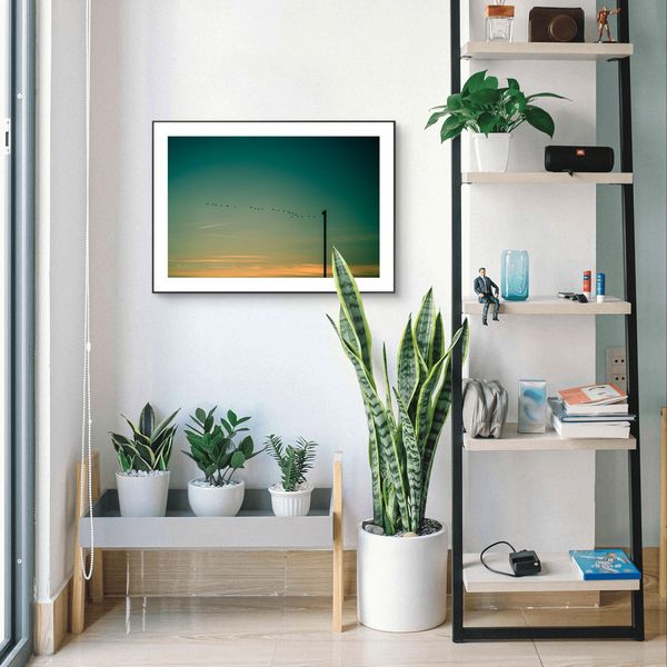 birdphotography
ornithology
canon
nikon sony