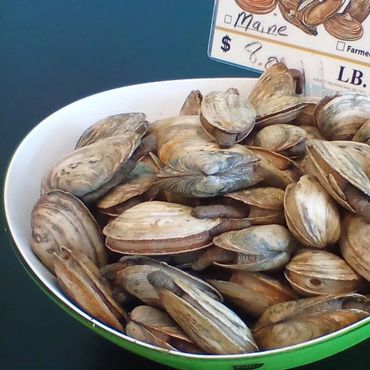 Fresh Steamers by the Pound - Great served w hot melted butter and broth for rinsing.
