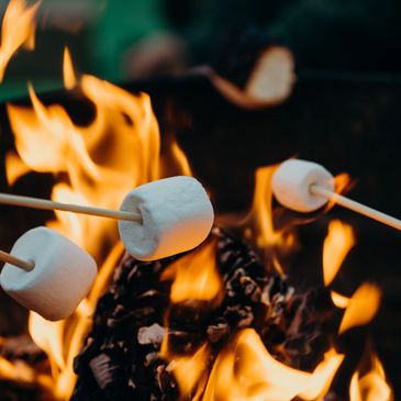 Roasting marshmallows over campfire