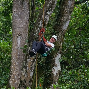 Ziplining in the forest