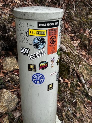 Utility pole covered with various stickers and graffiti in an outdoor wooded area.