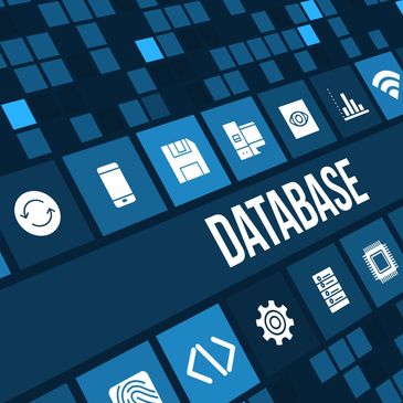 Database Management and Administration