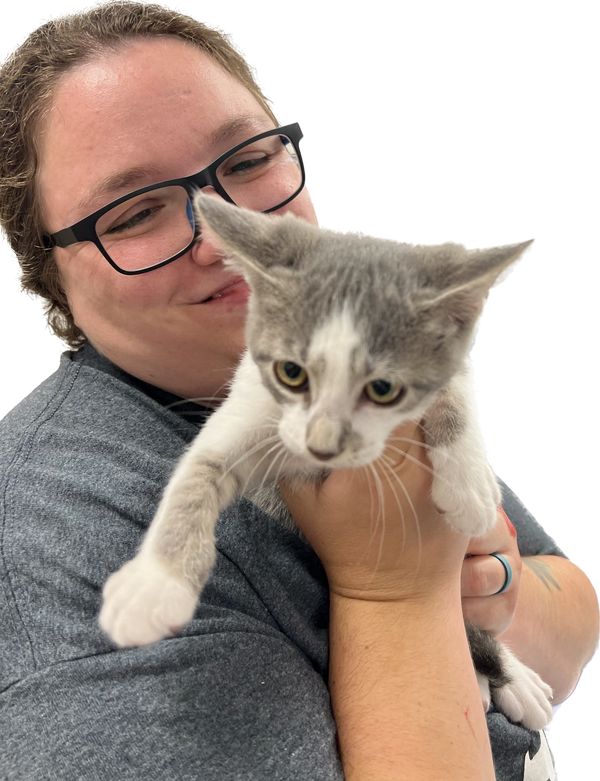 Volunteer enjoys kitten time