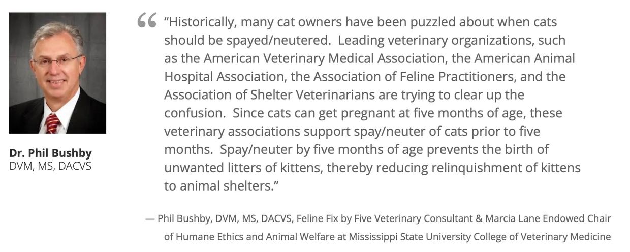 Phil Bushby DVM discusses best time to fix a cat