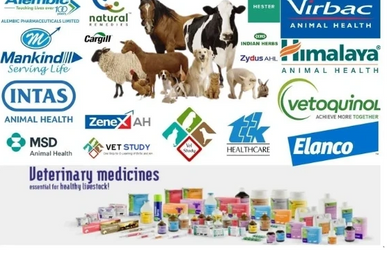 Various veterinary medicine brands and animal health products with different animals.