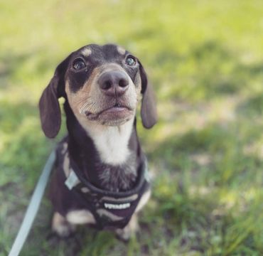 Specialty Care in Hanover, PA