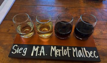 A flight of four wine samples labeled Sieg, M.A., Merlot, and Malbec.