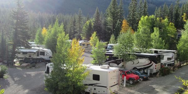 A view of RVs in the campsite