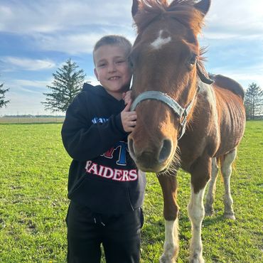 The "queen" of the barn, Diamond and Seth enjoying the fall season.