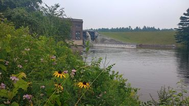 Loud Dam, Iosco County