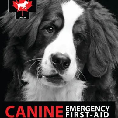 The most comprehensive course available!  You will learn from the top canine first aid instructors i