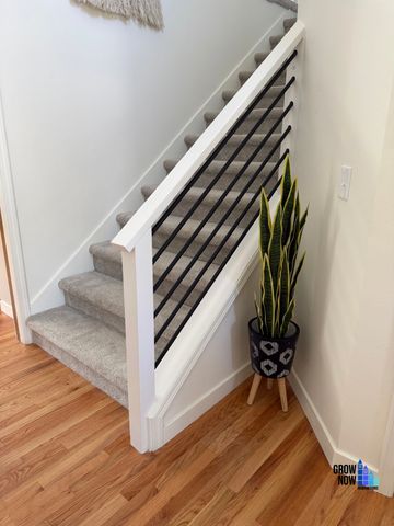 Carpeted stairs with black railing and a potted snake plant.