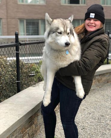 Kaleigh - friend of wolves and doggos alike!