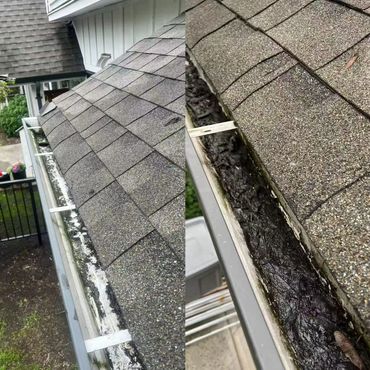 Gutter Cleaning