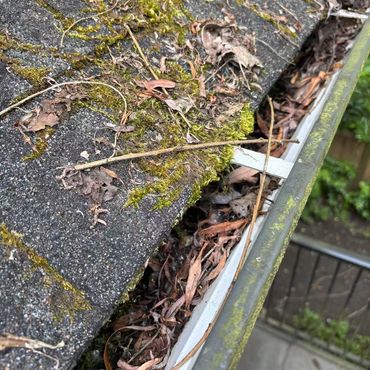 Leaves and dirt accumulate in the gutter