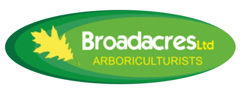 Broadacres Tree Services