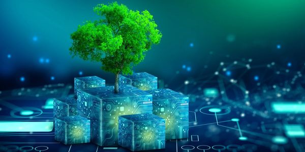 Abstract tree graphic representing scalable growth, leadership structure, and strategic consulting.