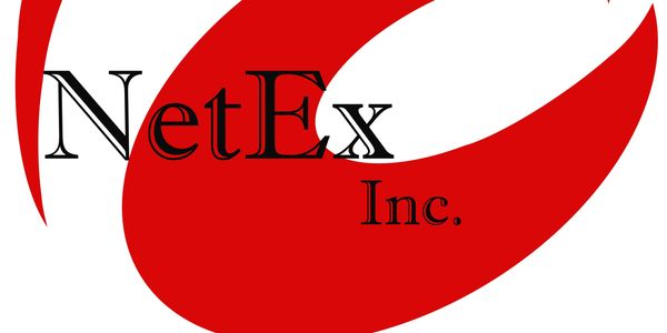 NetEx Inc. Red Logo