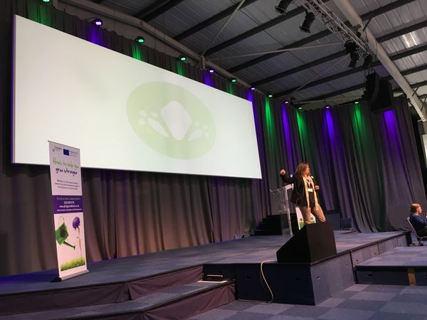 Working With Honesty and Intention