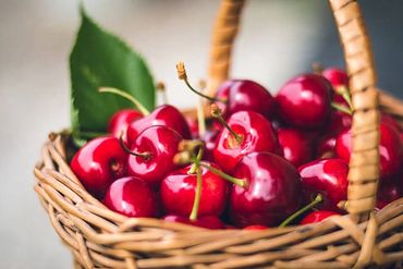 Cherries in a basket ready for online sales Central Otago, New Zealand