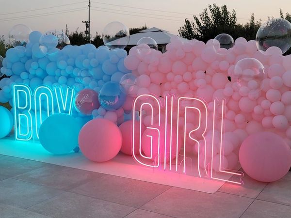 Gender party: boy or girl?