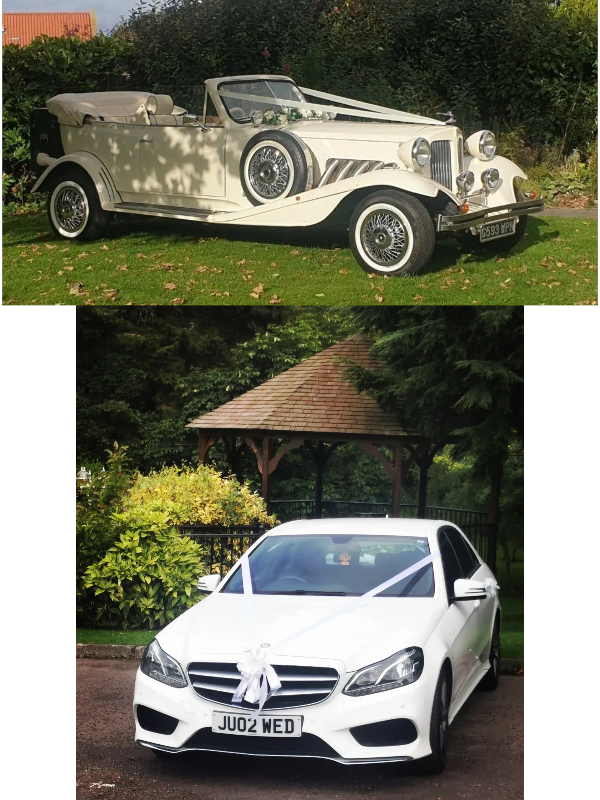 Vintage and modern wedding cars decorated with white ribbons and bows.