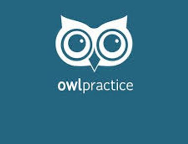 Simple owl logo with 'owlpractice' text on teal background.