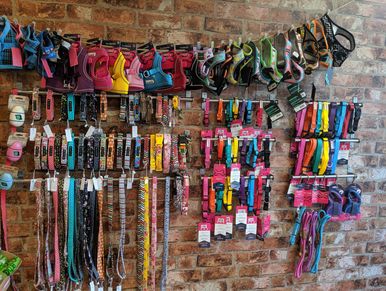 Dog Collars, leads and harnesses