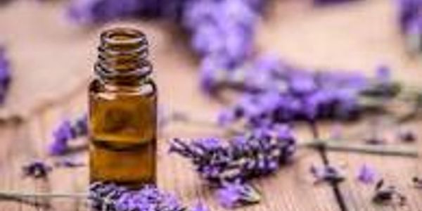 Lavender oil can aid in skin lightening since it reduces inflammation. It can reduce discoloration, 