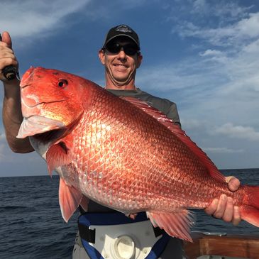 Gulf of Mexico red snapper