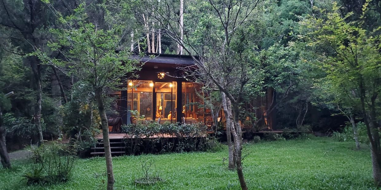 Cozy cabin with warm lights in a lush forest.