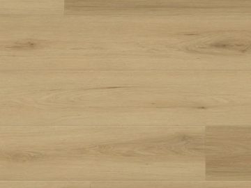 Light wooden textured surface.